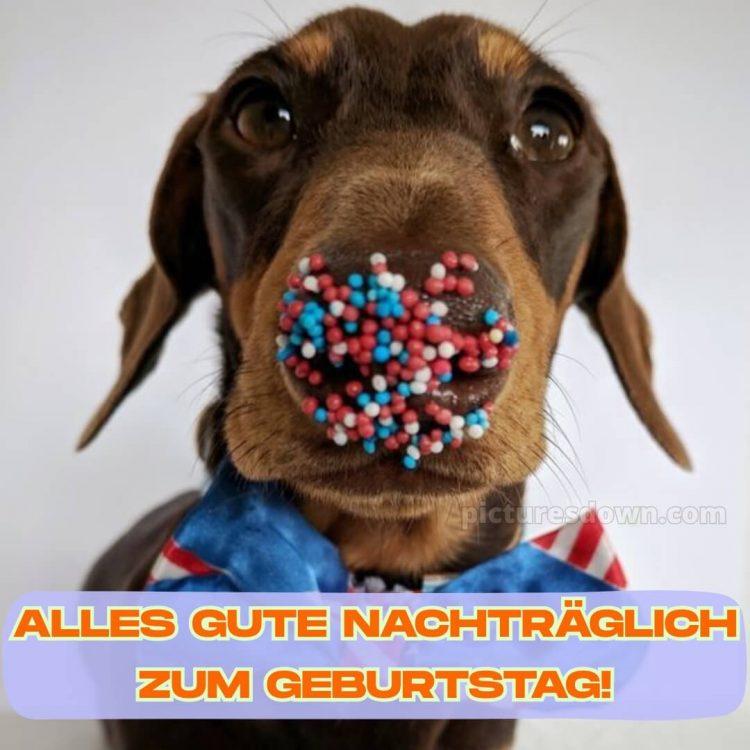 Nachträglich alles gute zum geburtstag lustig bild Nase kostenlos