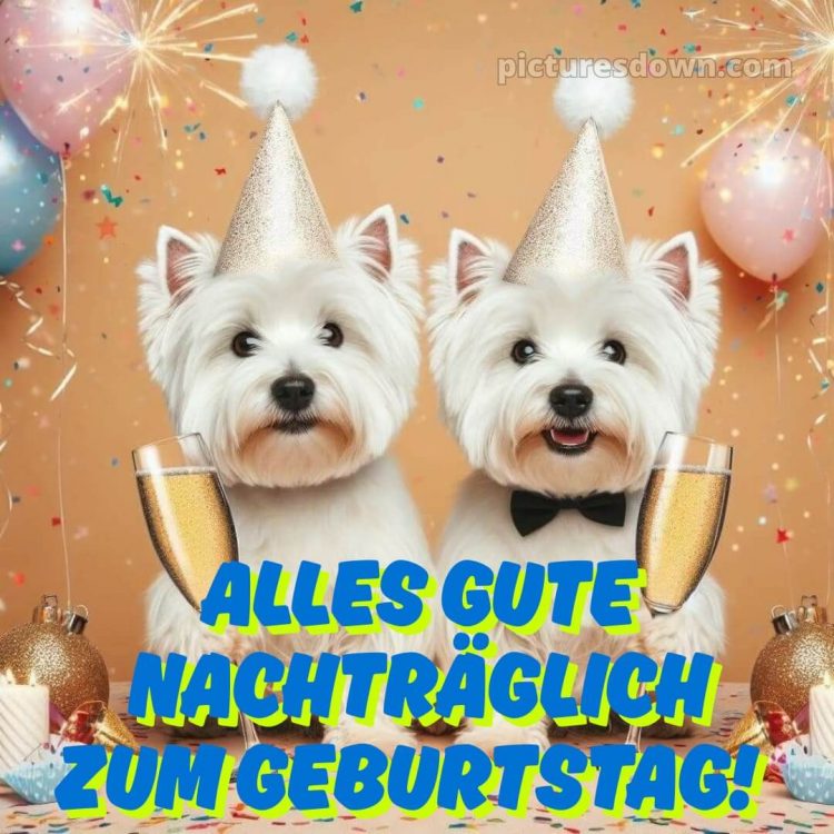 Nachträglich alles gute zum geburtstag lustig bild Sekt kostenlos