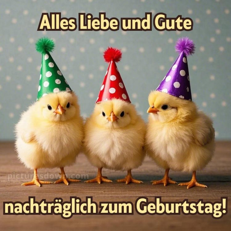 Nachträglich alles gute zum geburtstag lustig bild Hühner kostenlos