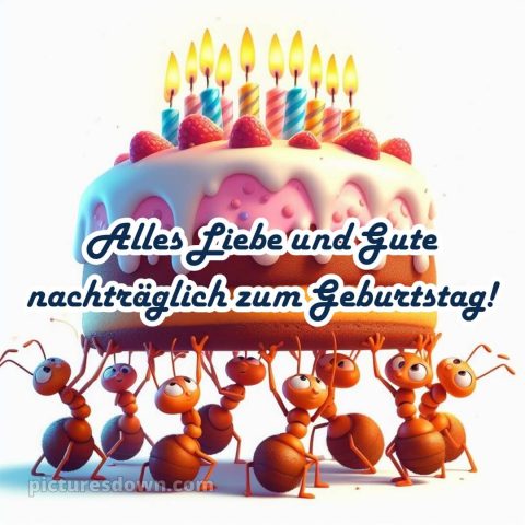 Nachträglich alles gute zum geburtstag lustig bild Ameisen kostenlos