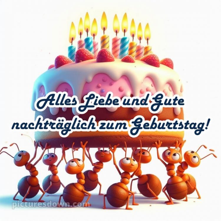 Nachträglich alles gute zum geburtstag lustig bild Ameisen kostenlos