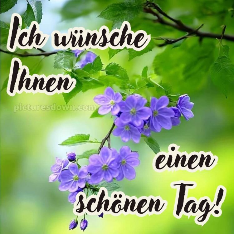 Schönen tag bild Zweigstelle kostenlos