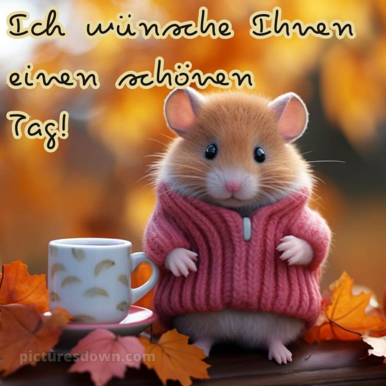 Schönen tag bild Hamster kostenlos