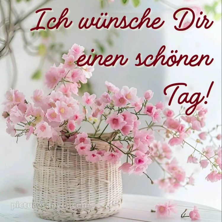 Schönen tag bild Postkarte kostenlos