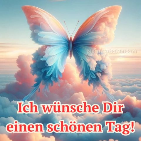 Schönen tag bild Schmetterling kostenlos