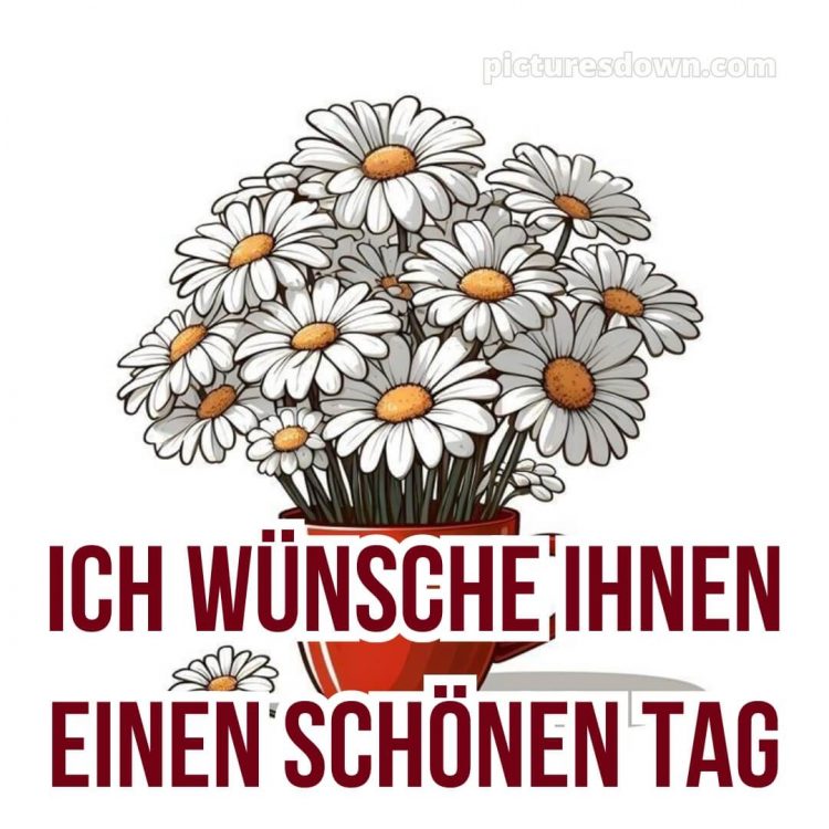 Schönen tag bild Gänseblümchen kostenlos