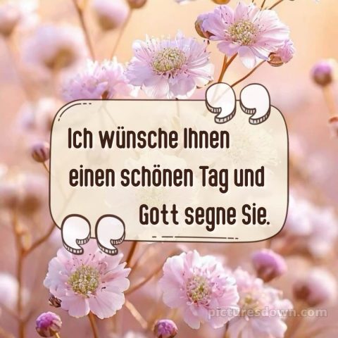 Schönen tag bild Blumen kostenlos