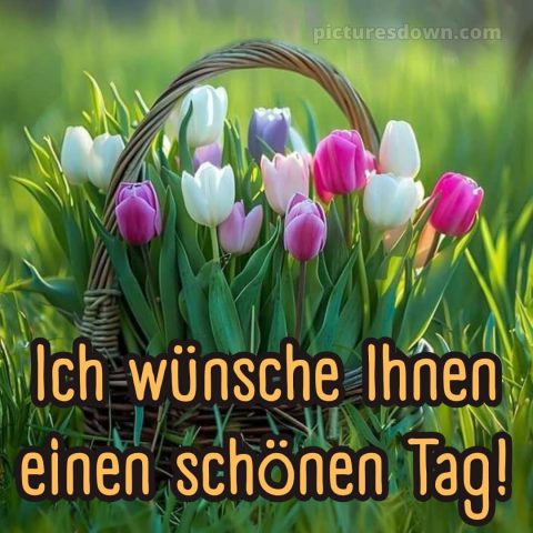 Schönen tag bild Korb kostenlos