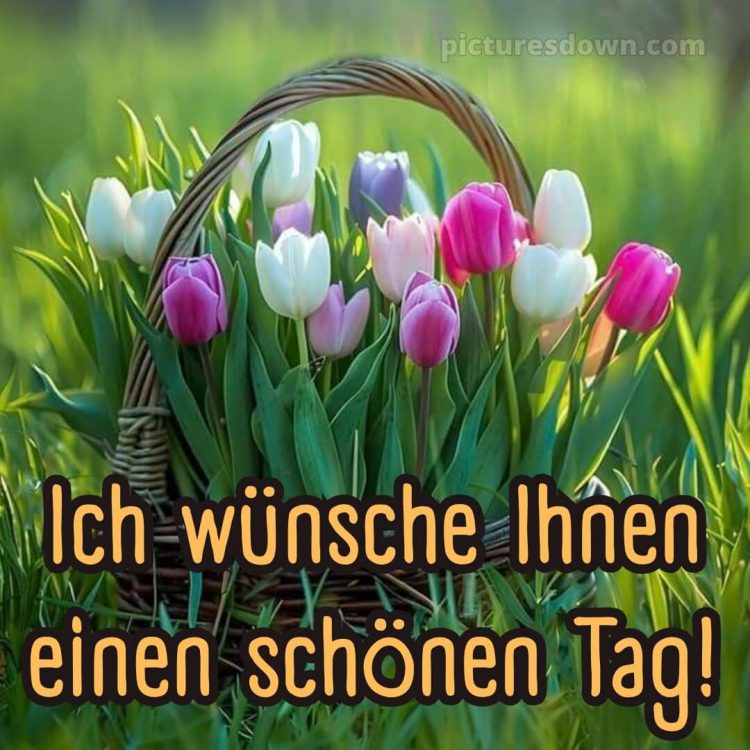 Schönen tag bild Korb kostenlos