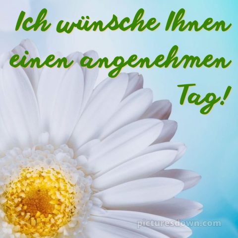 Schönen tag bild Blume kostenlos