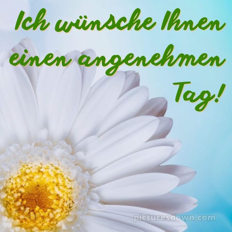 Schönen tag bild Blume kostenlos