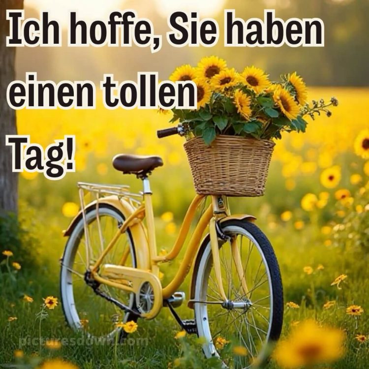 Schönen tag bild Fahrrad kostenlos