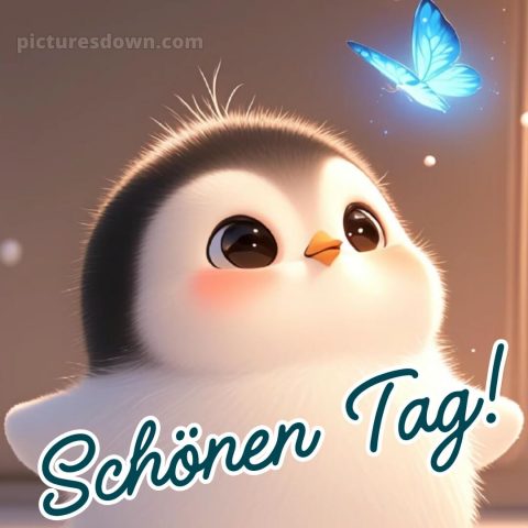 Schönen tag bilder bild Pinguin kostenlos