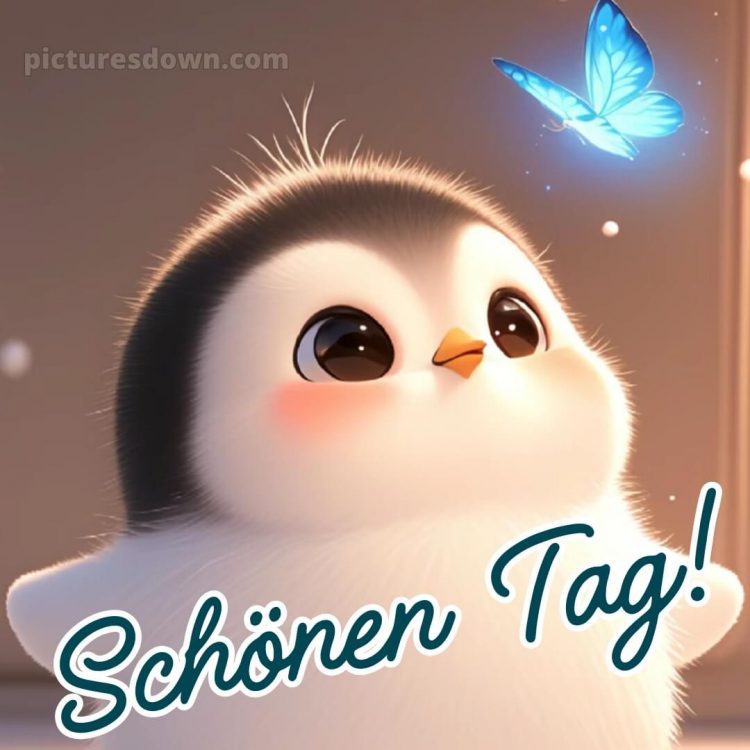 Schönen tag bilder bild Pinguin kostenlos