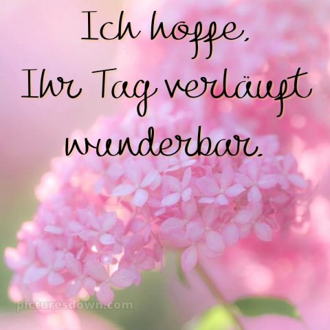 Schönen tag bilder bild schöne Karte kostenlos