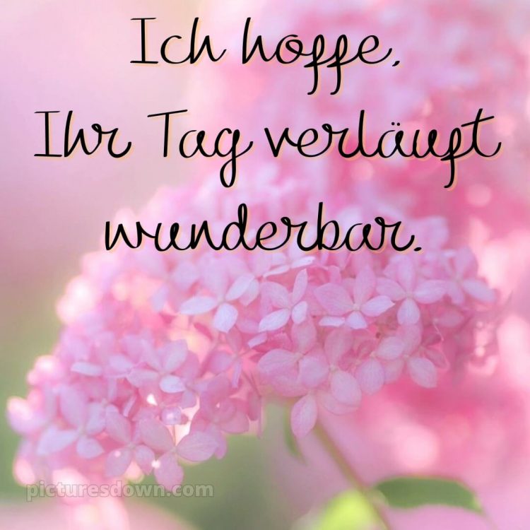 Schönen tag bilder bild schöne Karte kostenlos