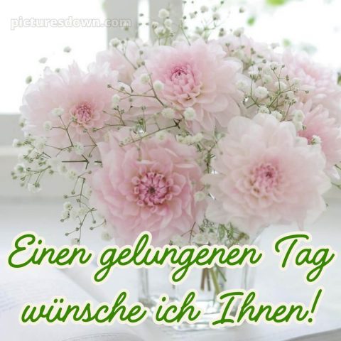 Schönen tag bilder bild Bouquet kostenlos