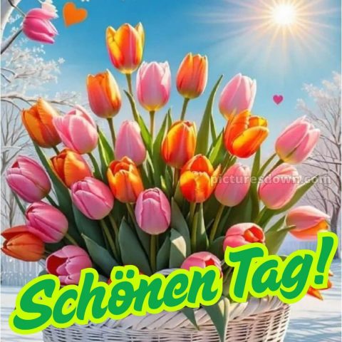 Schönen tag bilder bild Himmel kostenlos