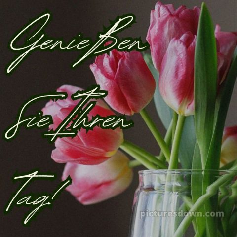 Schönen tag bilder bild Vase kostenlos