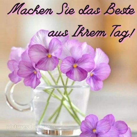 Schönen tag bilder bild Tasse kostenlos