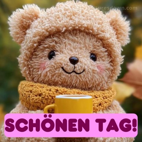 Schönen tag bilder bild Teddybär kostenlos