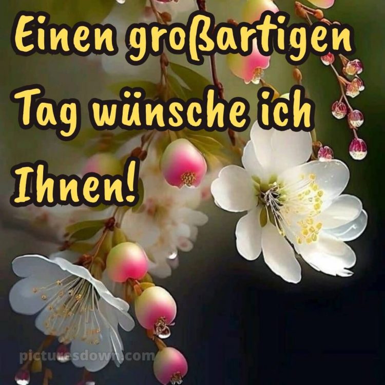 Schönen tag bilder bild Blühende kostenlos