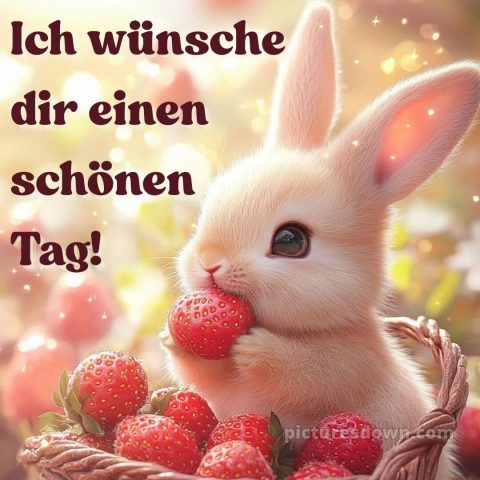 Schönen tag bilder kostenlos bild Erdbeeren kostenlos