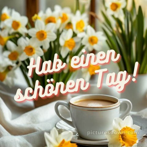Schönen tag bilder kostenlos bild Narzissen kostenlos