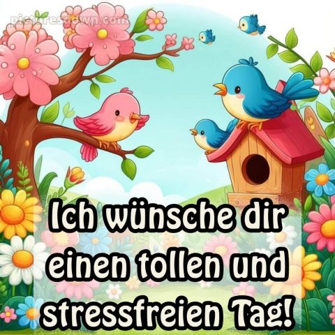 Schönen tag bilder kostenlos bild Vögel und Blumen kostenlos
