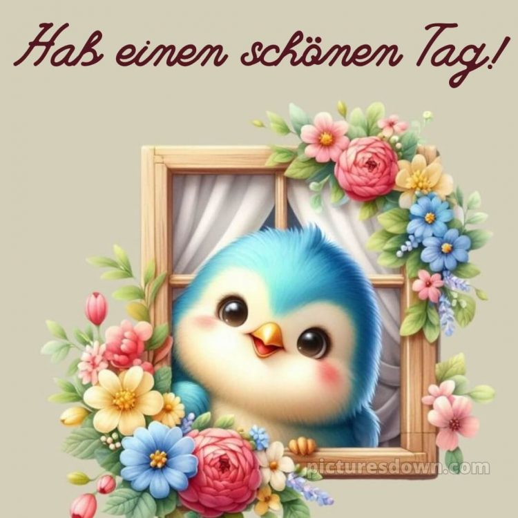 Schönen tag bilder kostenlos bild Fenster kostenlos