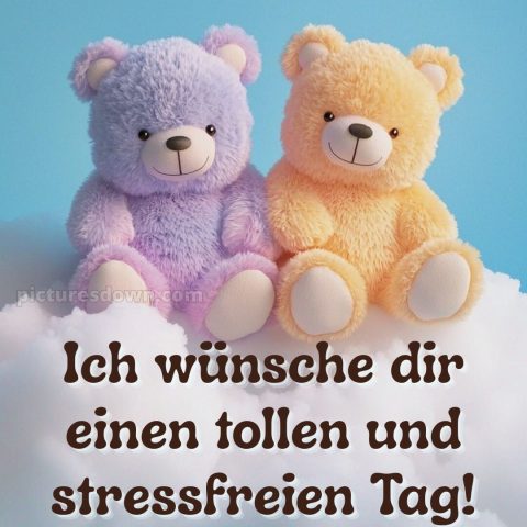Schönen tag bilder kostenlos bild Bären kostenlos