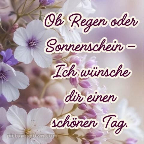 Schönen tag bilder kostenlos bild Karte kostenlos