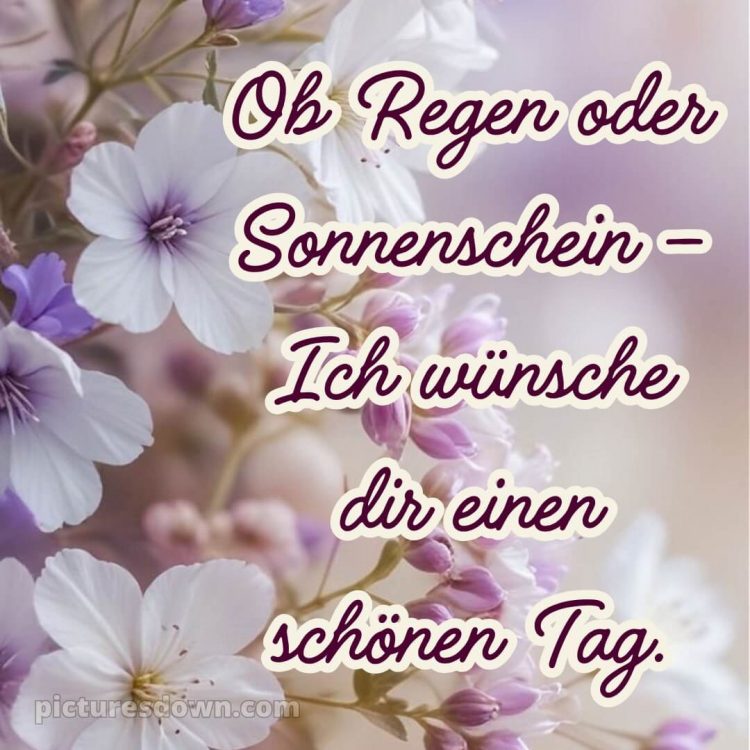 Schönen tag bilder kostenlos bild Karte kostenlos