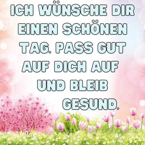 Schönen tag bilder kostenlos bild Natur kostenlos