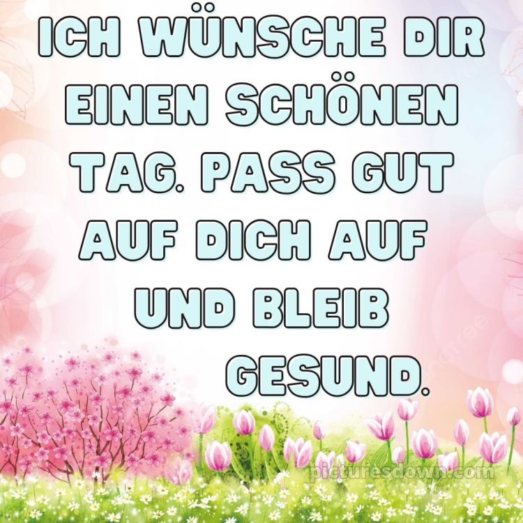 Schönen tag bilder kostenlos bild Natur kostenlos