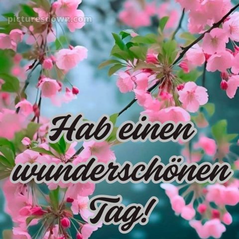 Schönen tag grüße bild Blütezeit kostenlos