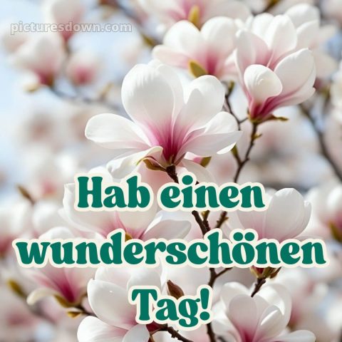 Schönen tag grüße bild Karte kostenlos