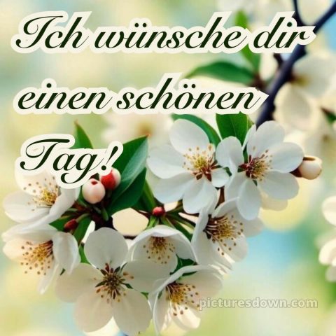 Schönen tag grüße bild Zweigstelle kostenlos