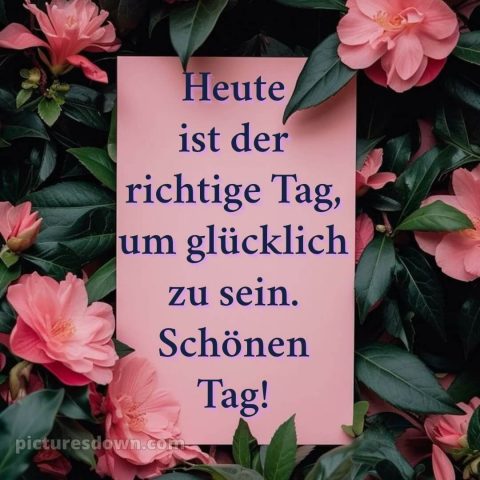 Schönen tag sprüche bild Blatt kostenlos