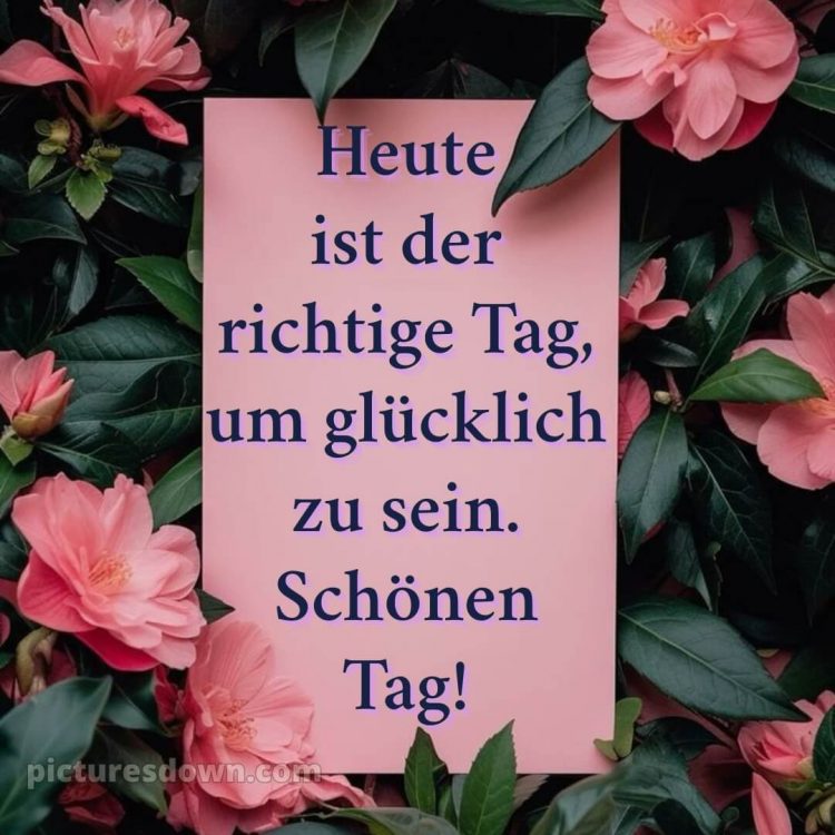 Schönen tag sprüche bild Blatt kostenlos