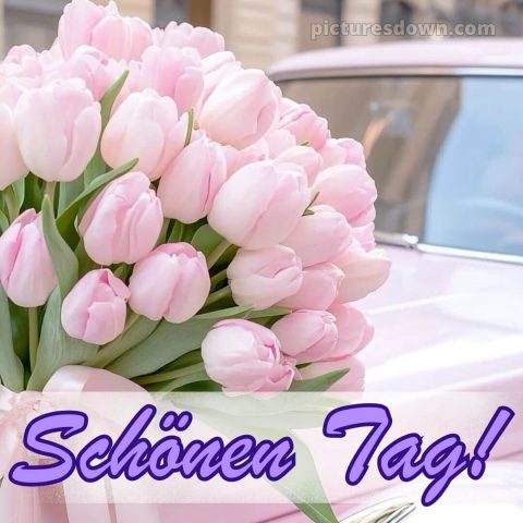 Schönen tag sprüche bild Auto kostenlos