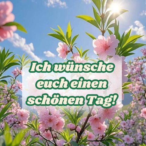 Schönen tag sprüche bild Sonne kostenlos