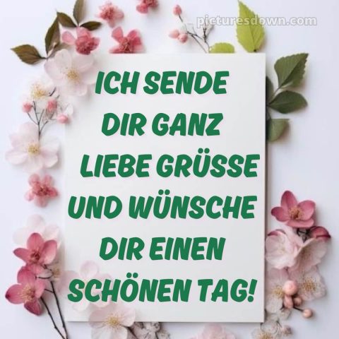 Schönen tag sprüche bild Karte kostenlos