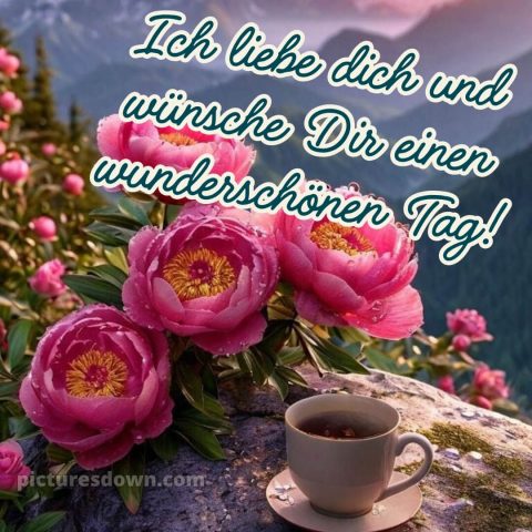 Schönen tag sprüche bild rosa Blumen kostenlos