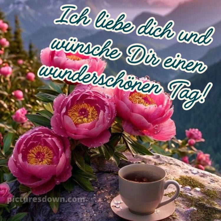 Schönen tag sprüche bild rosa Blumen kostenlos