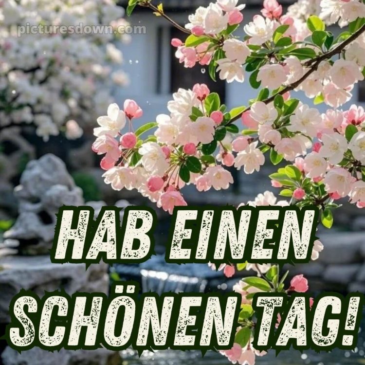 Schönen tag sprüche bild Blütezeit kostenlos