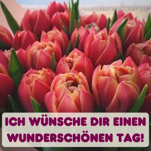 Schönen tag sprüche bild Blumenstrauß kostenlos