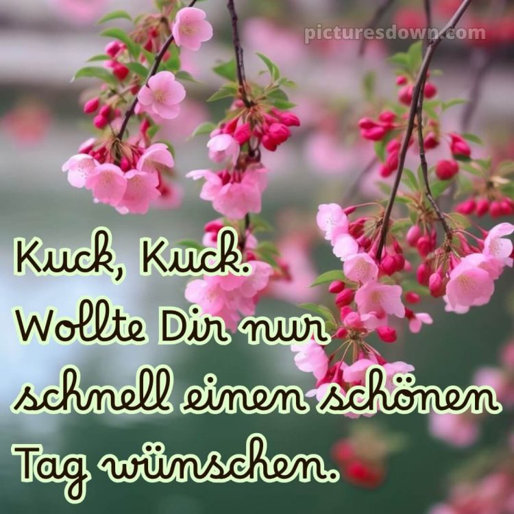 Schönen tag sprüche bild Zweigstellen kostenlos