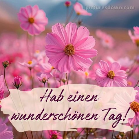 Schönen tag wünschen bild Blumen kostenlos