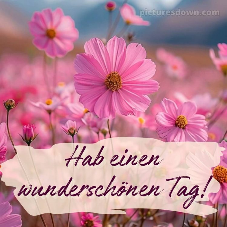 Schönen tag wünschen bild Blumen kostenlos